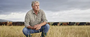 Financiación para Ganadería